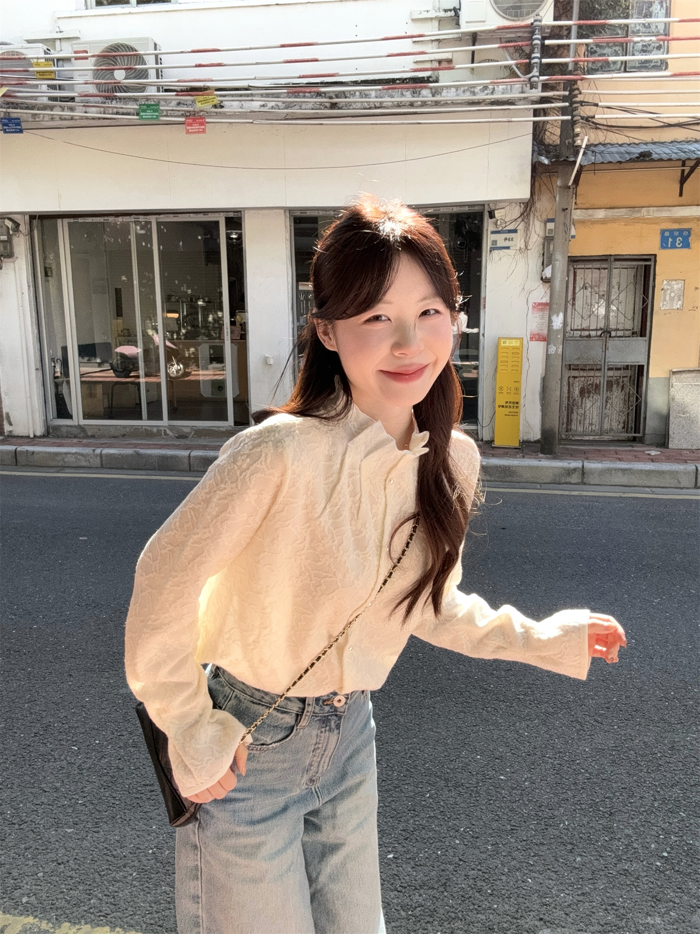 2026 Early Spring Stand Collar Pleated Jacquard Lantern Sleeve Blouse for Women