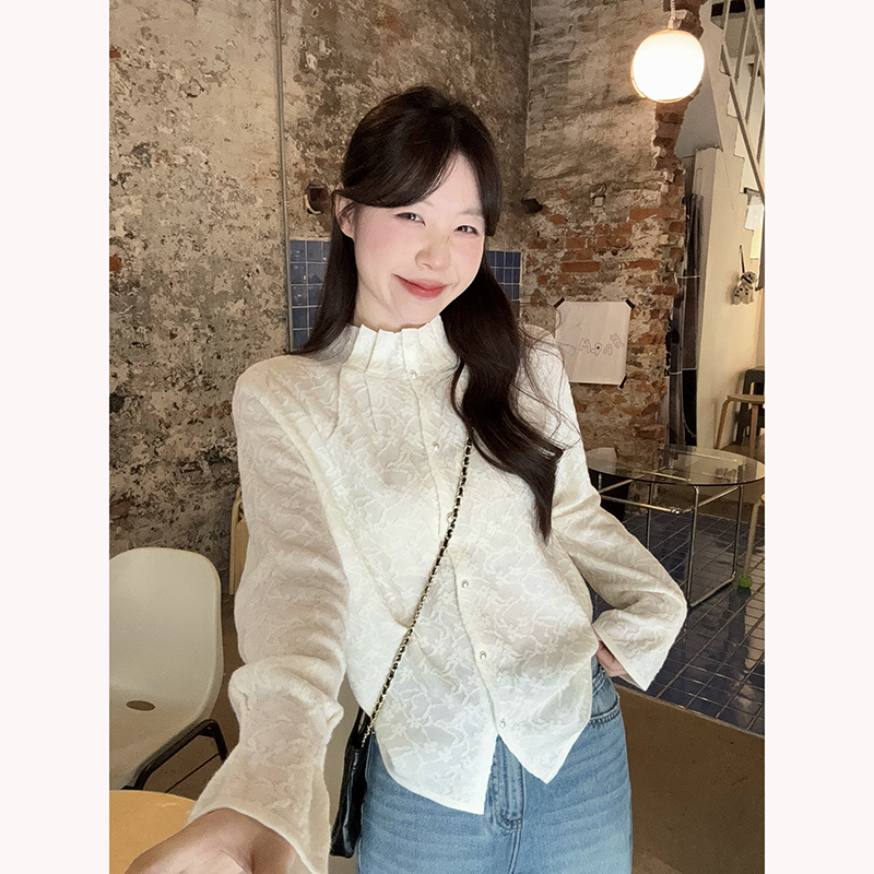 2026 Early Spring Stand Collar Pleated Jacquard Lantern Sleeve Blouse for Women - Image 5